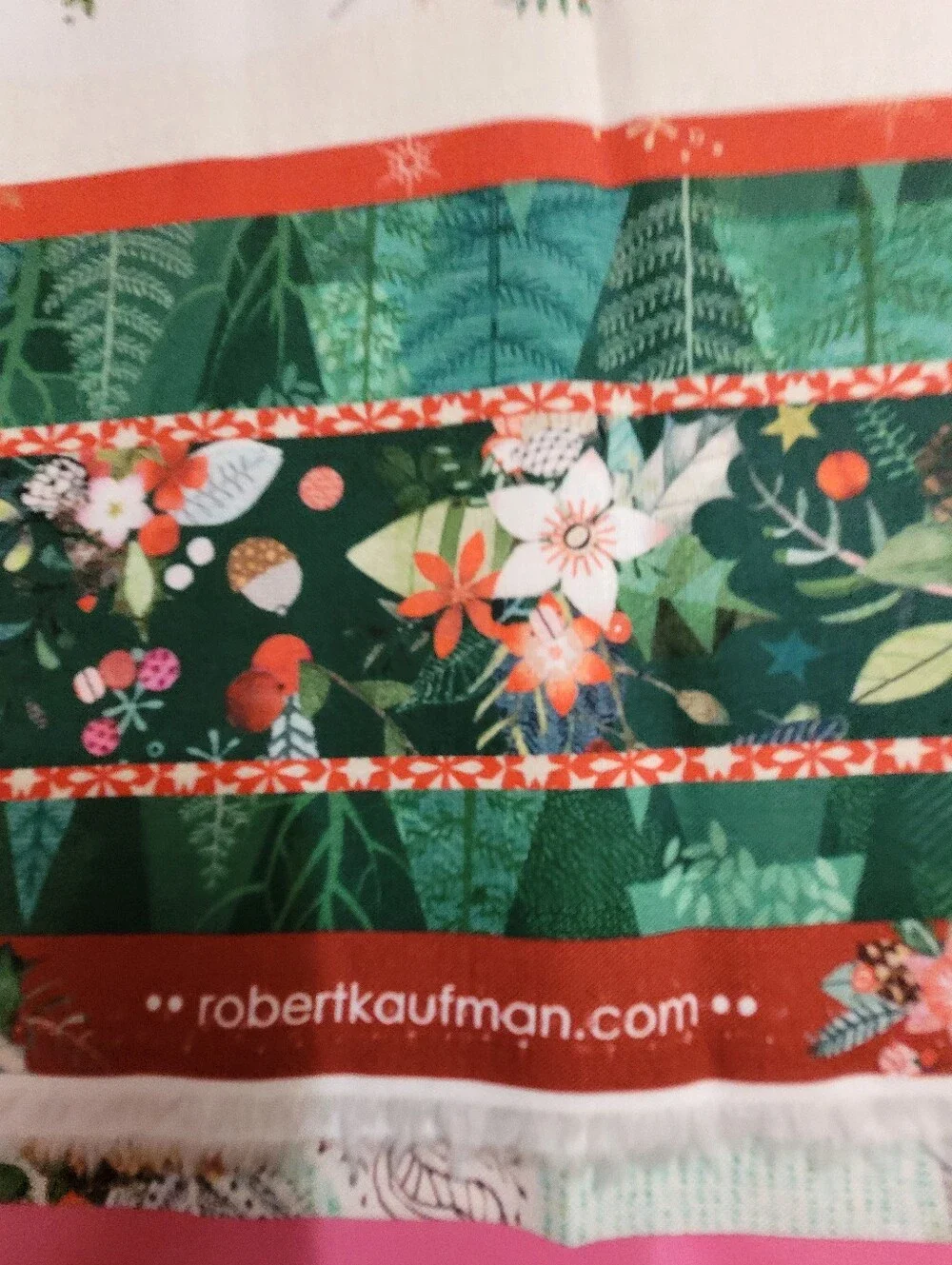 Robert Kaufman 